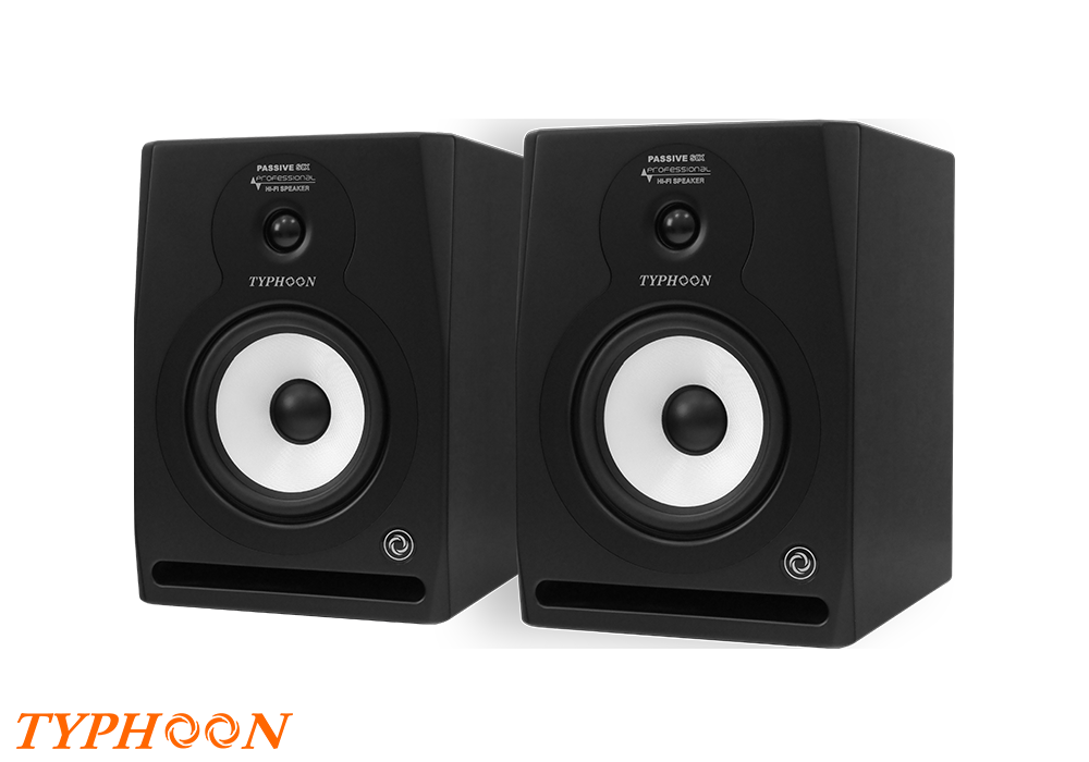 Passive Monitoring Speaker ARP6