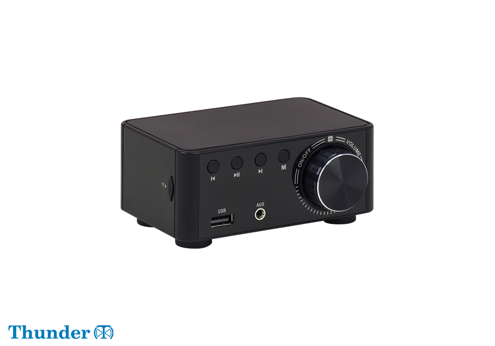 Mini Digital Stereo Amplifier TH100D